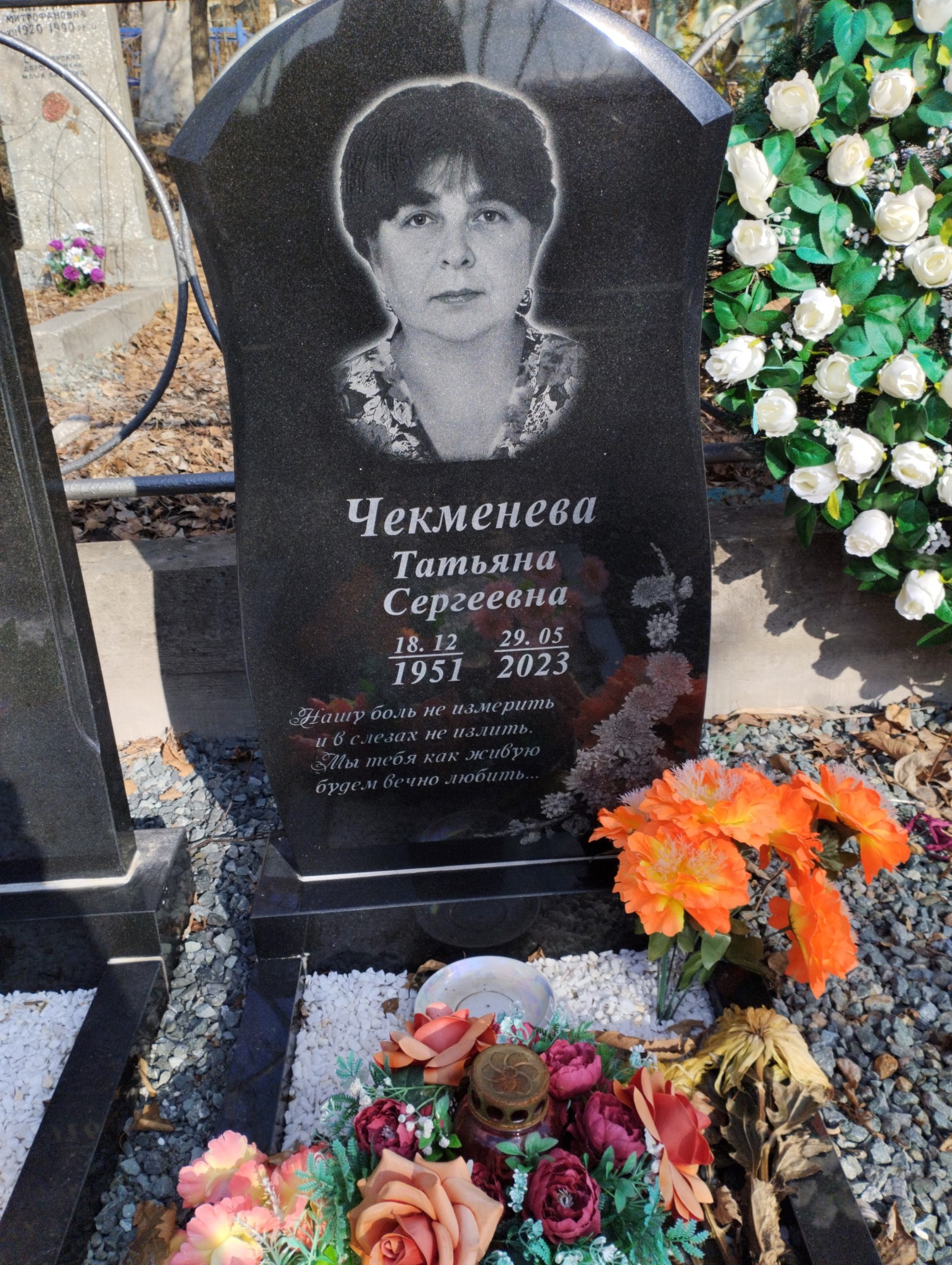 Чекменеева Татьяна Сергеевна