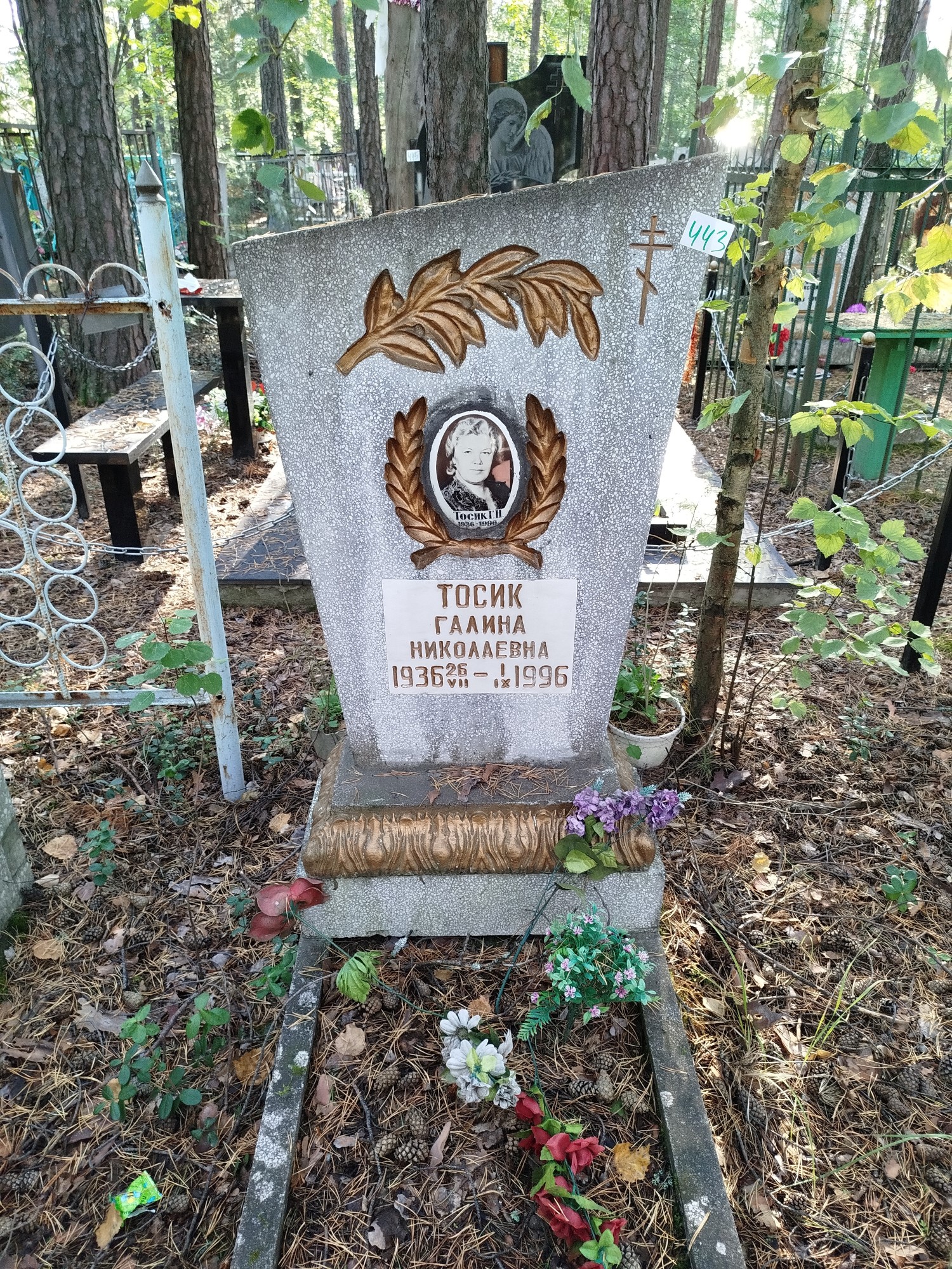 Тосик Галина Николаевна