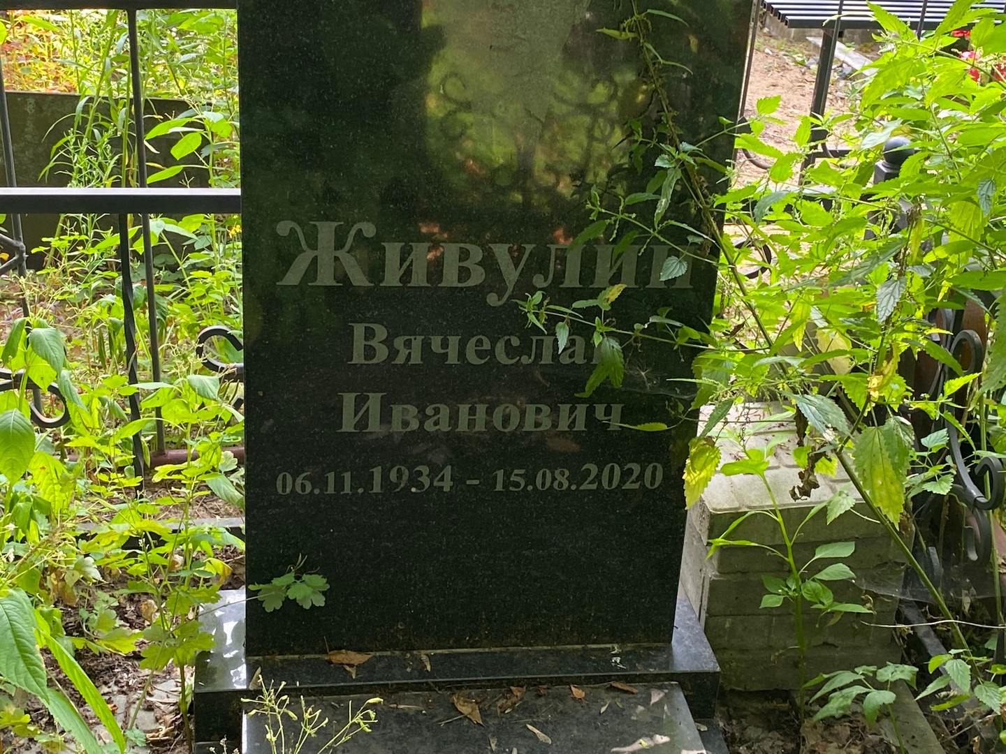 Живулин