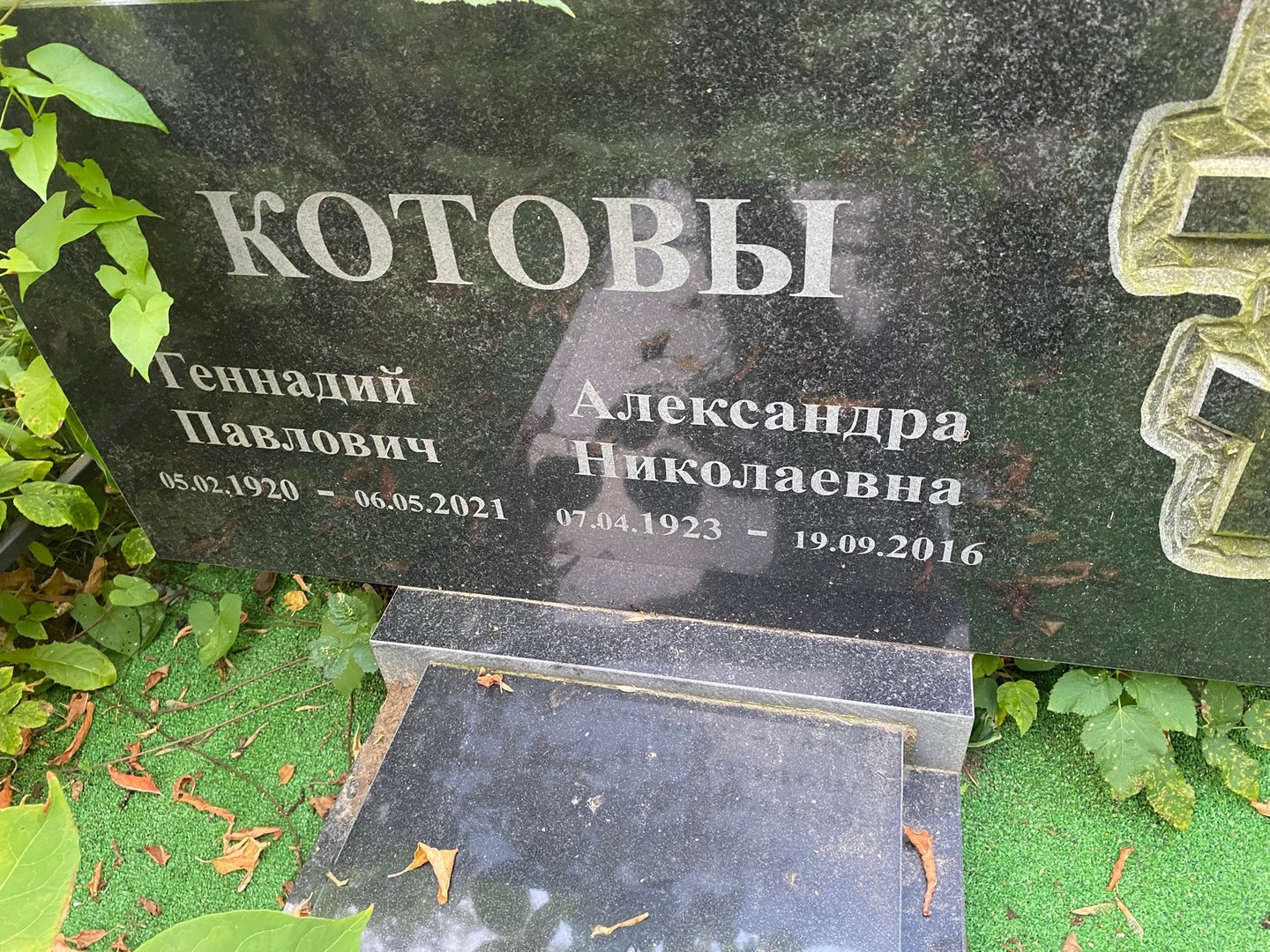 Котов