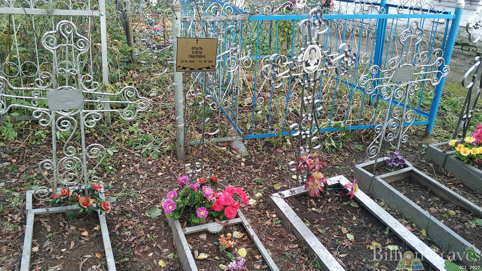 Брыль Елена Павловна