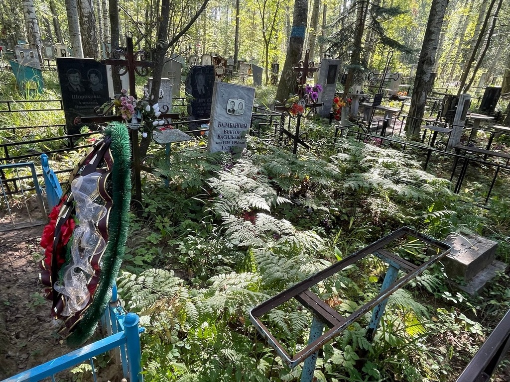 Балабанова Галина Ефимовна