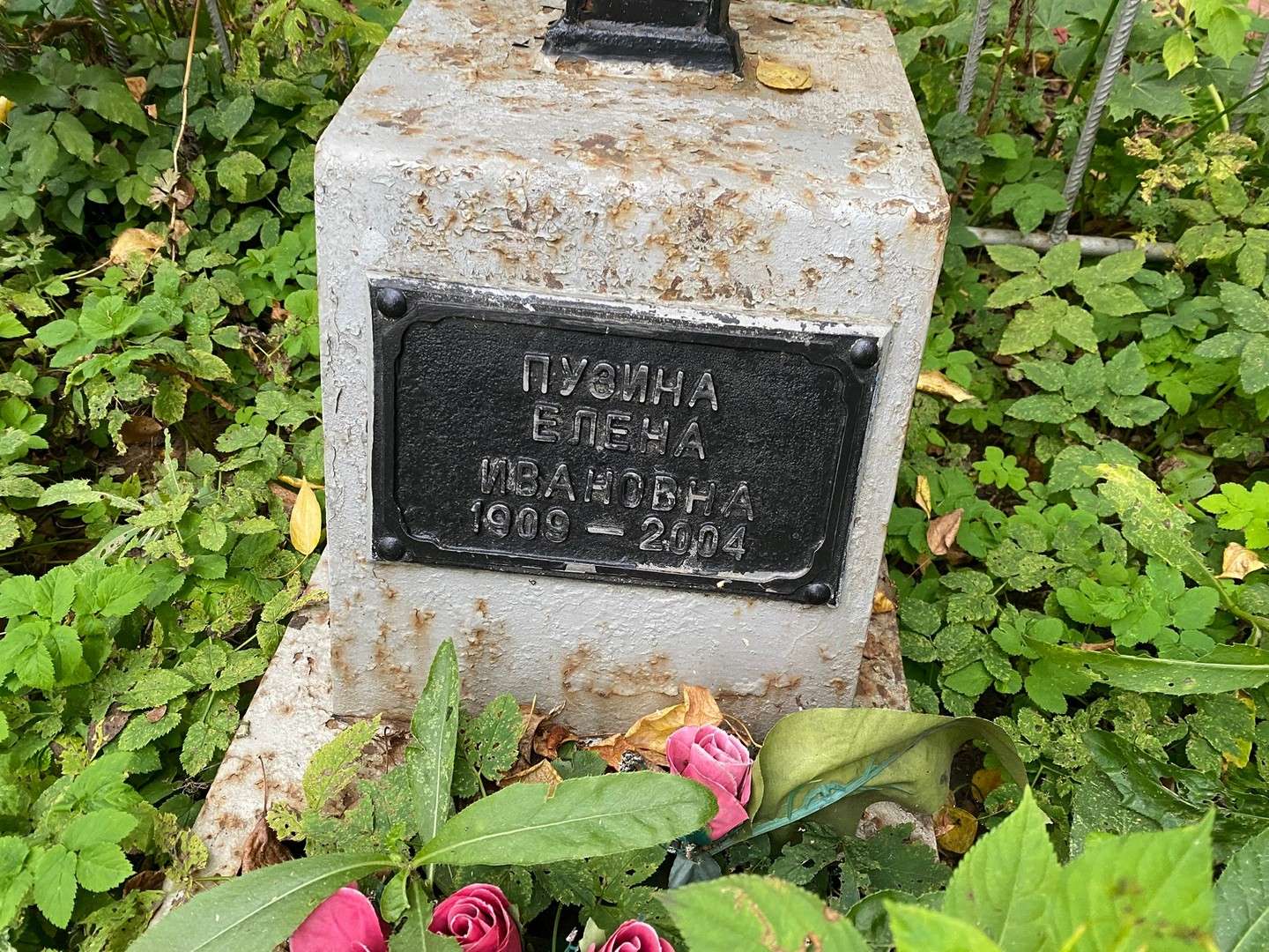 Пузина