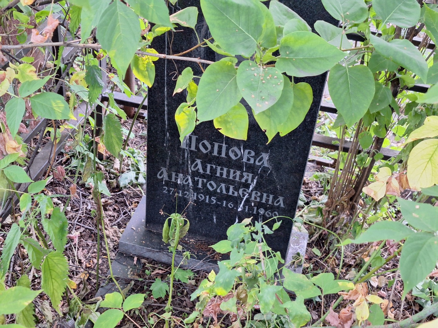 Агния Попова Анатольевна