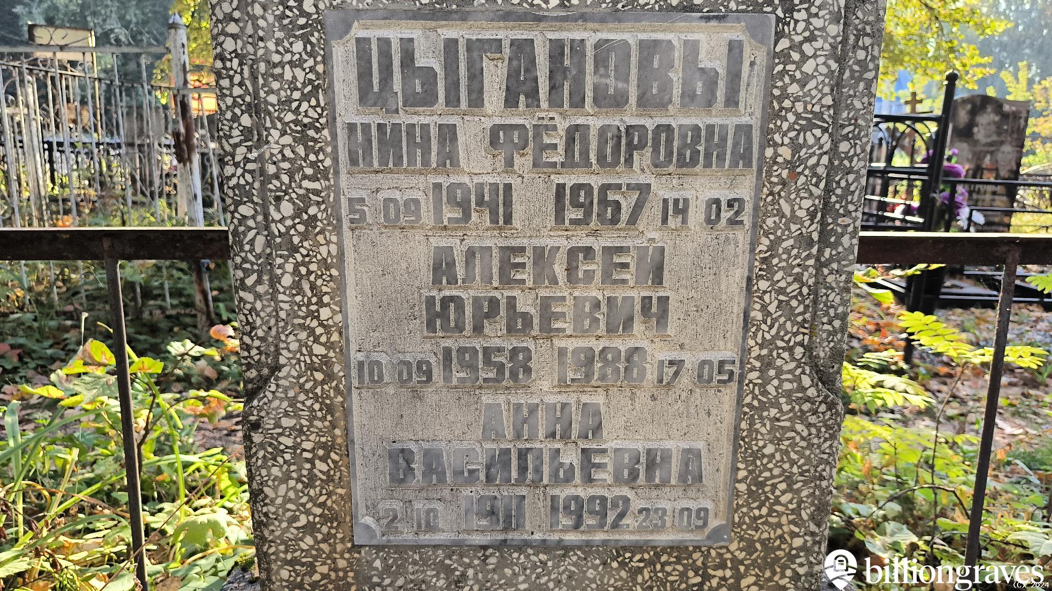Цыганова Анна Васильевна