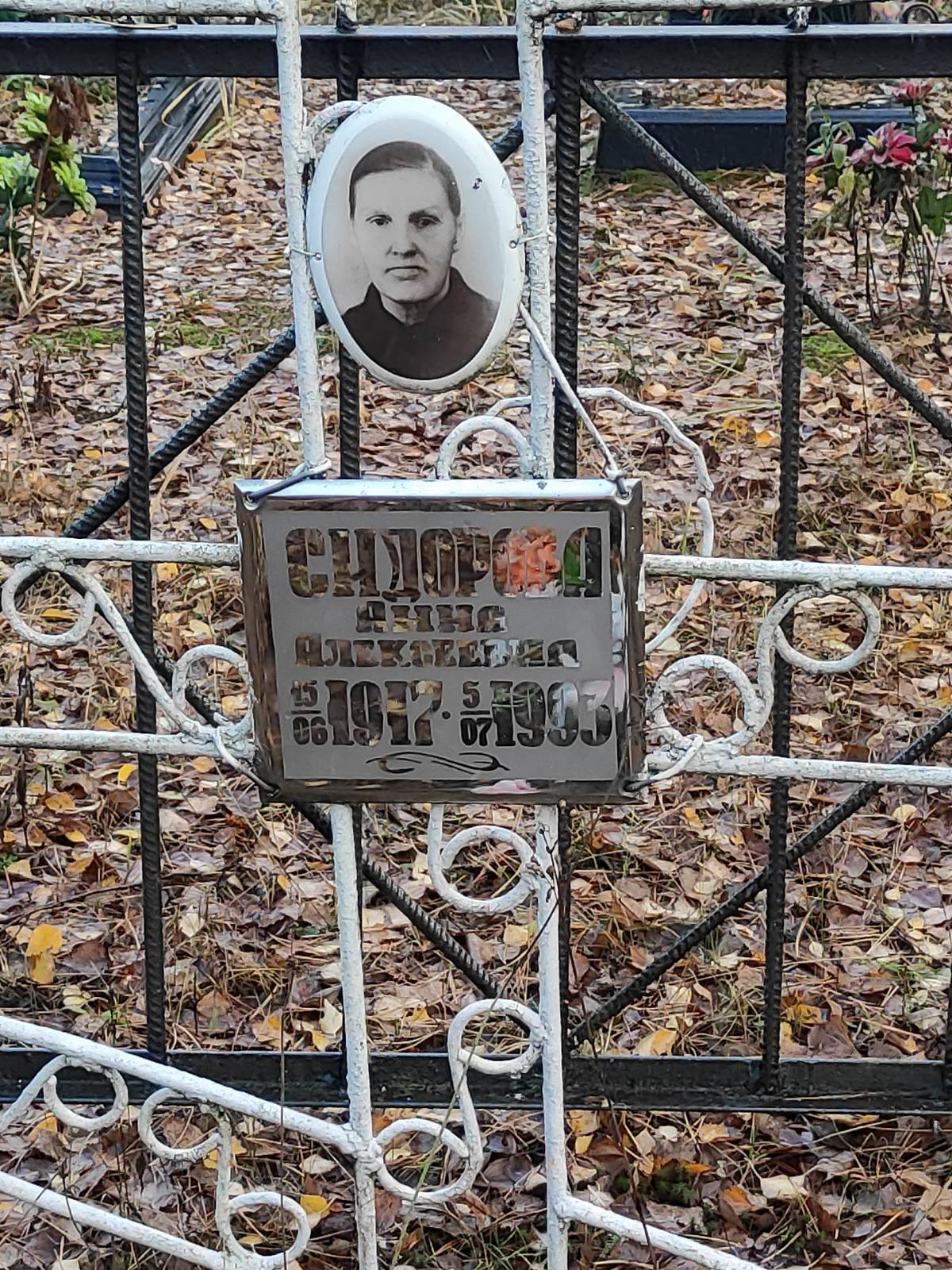 Сидорова Анна Алексеевна