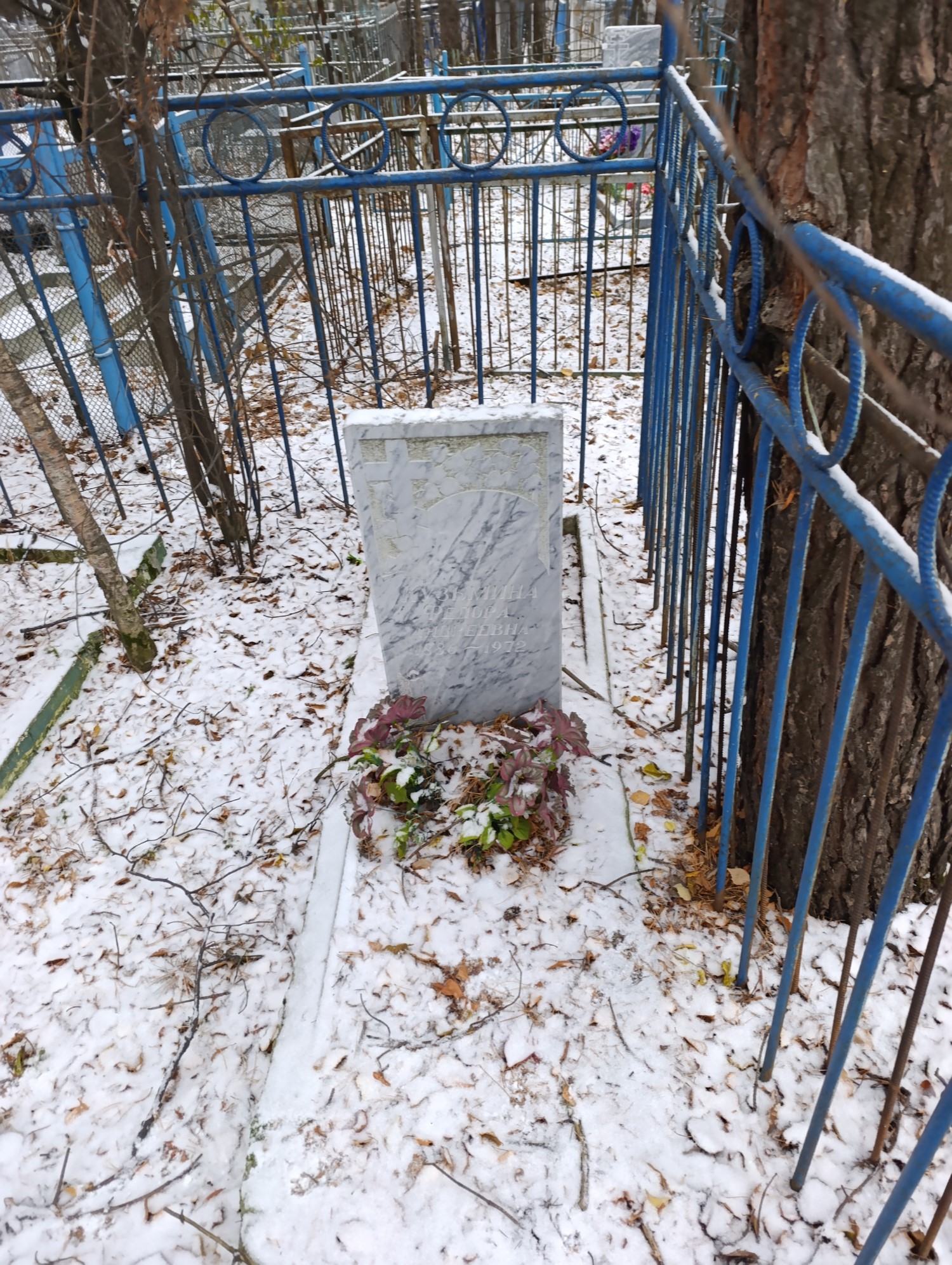 Кузьмина Федора Андреевна