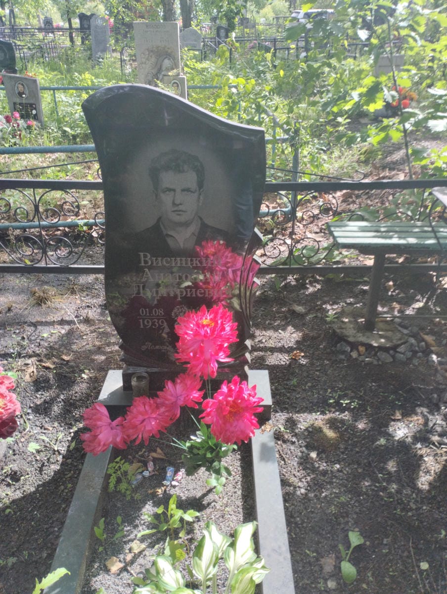 Висицкий Анатолий Дмитриевич
