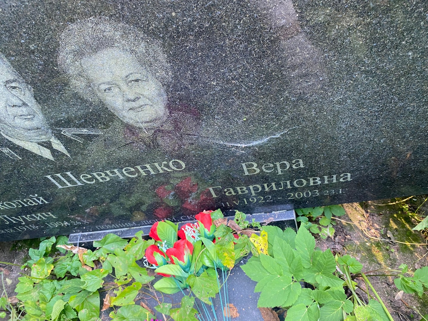 Шевченко