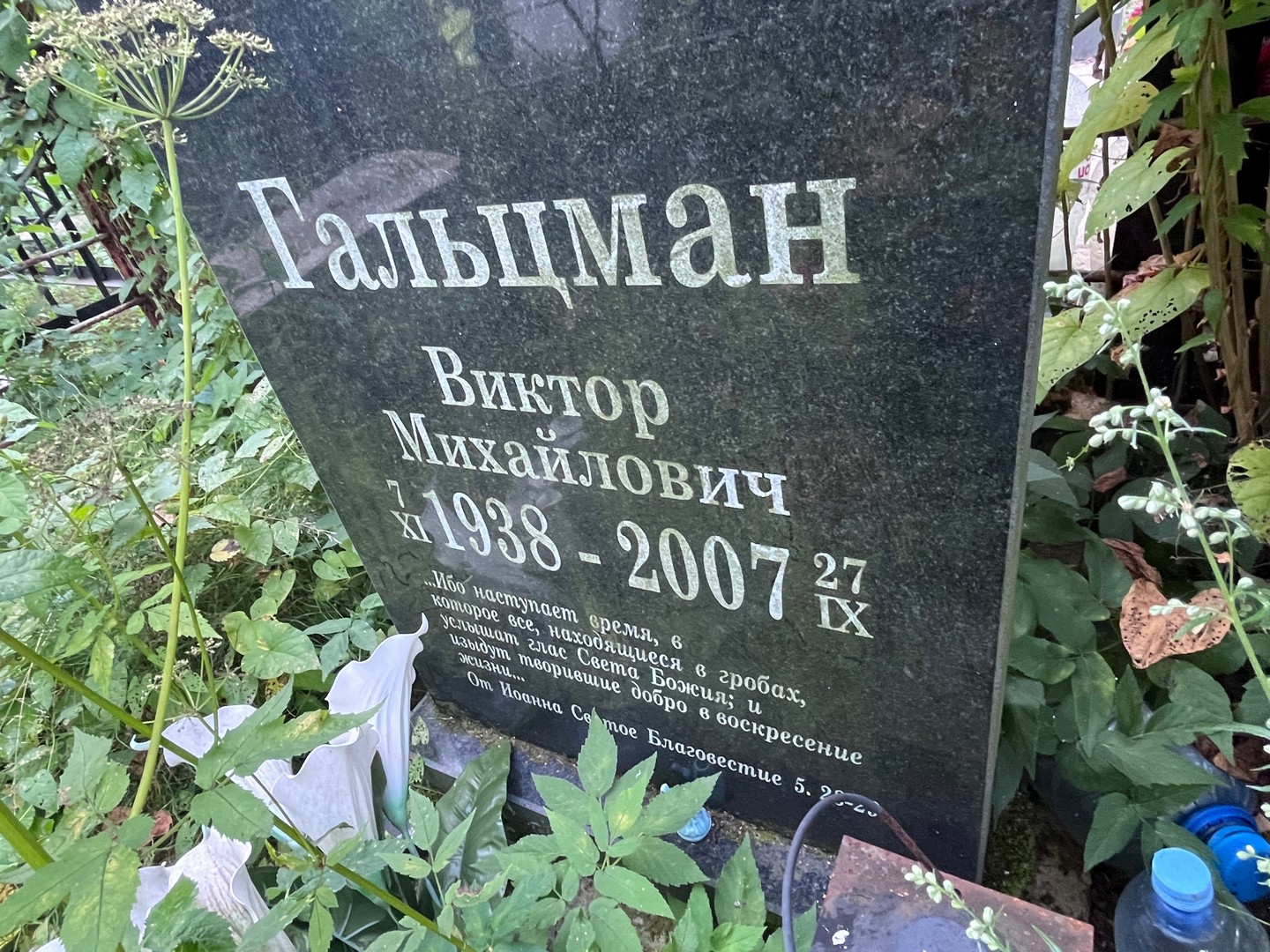 Гальцман