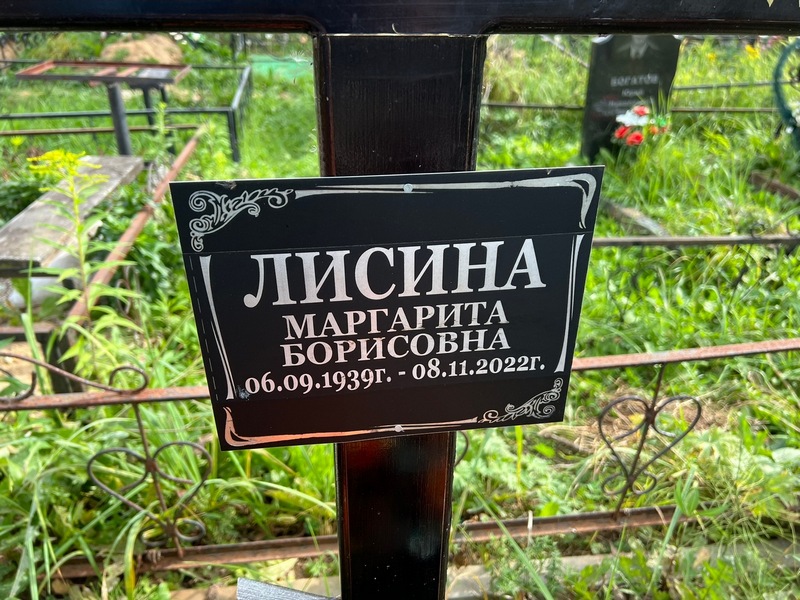 Лисина