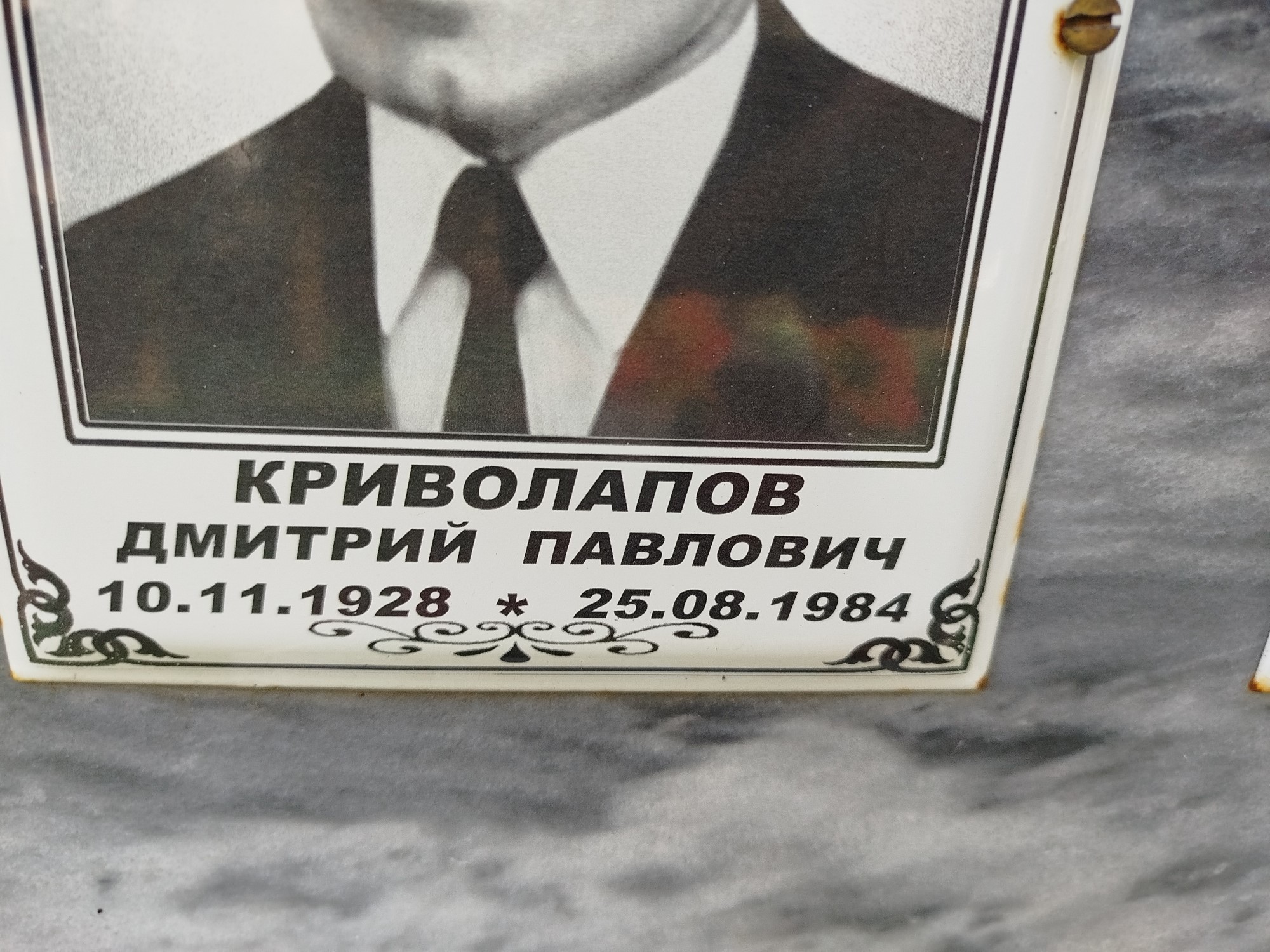 Криволапов Дмитрий Павлович