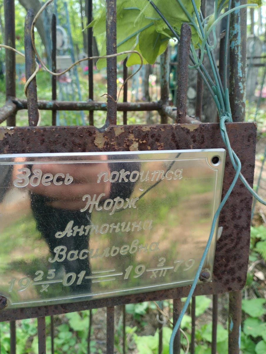 Жорж Антонина Васильевна