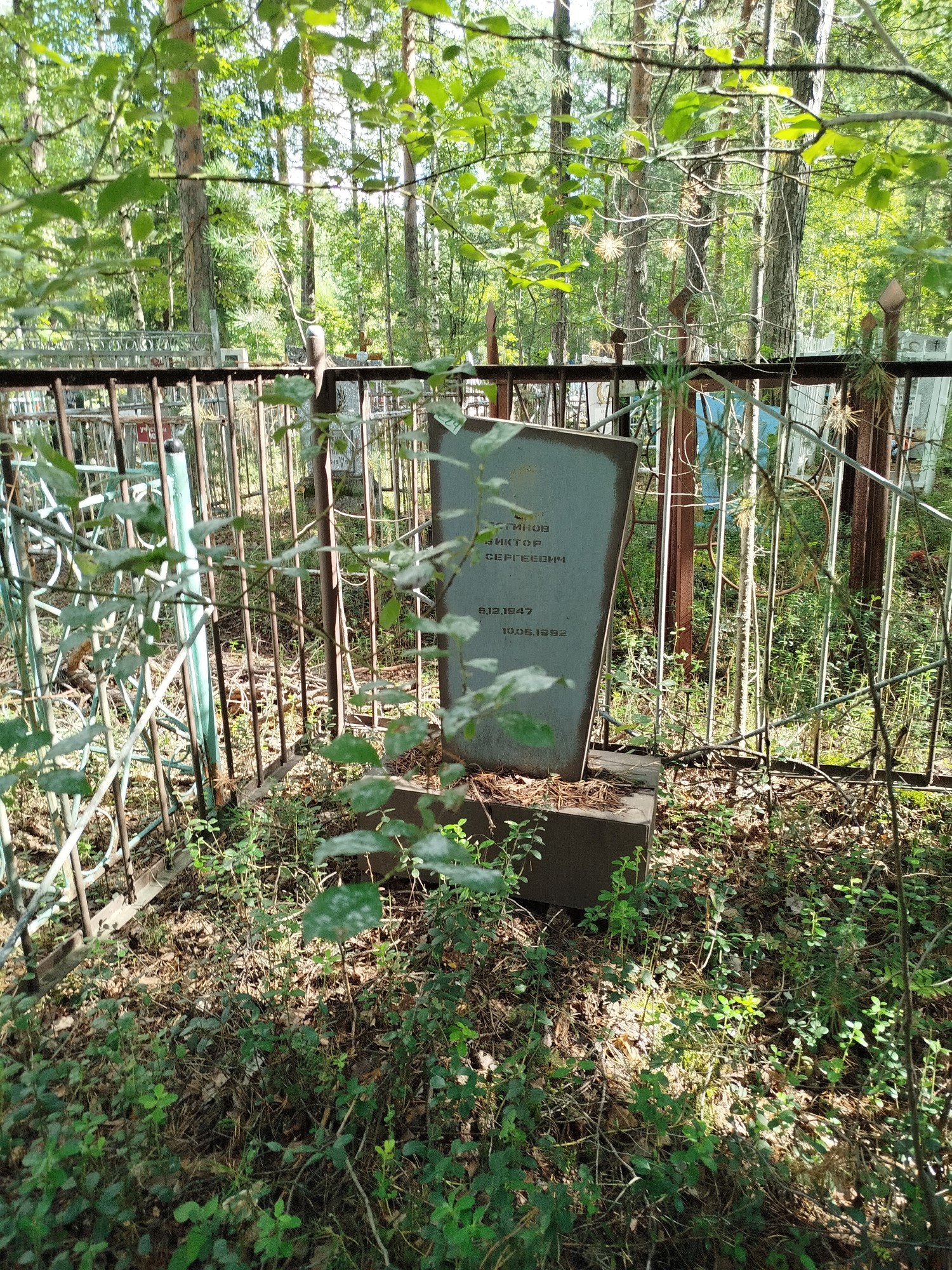 Логинов Виктор Сергеевич