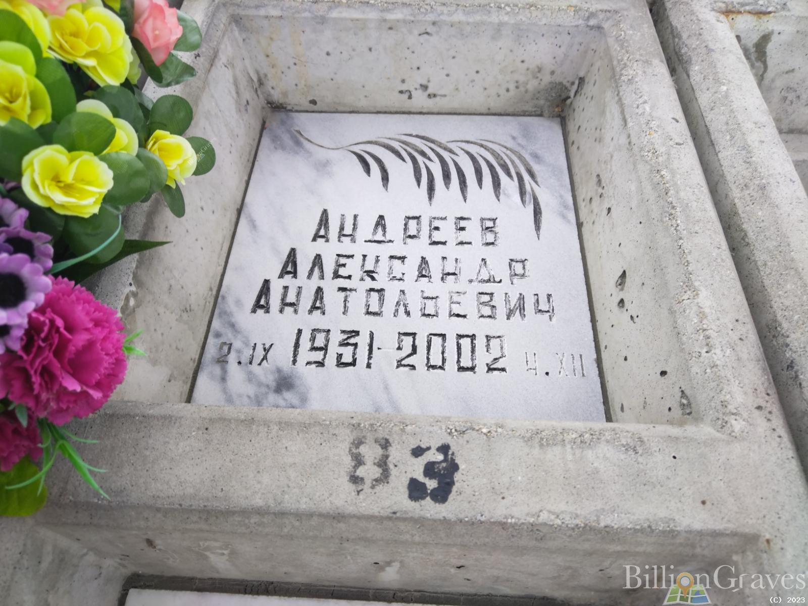 Андреев Александр Анатольевич