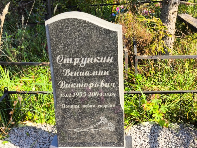 Вениамин Стрункин Викторович