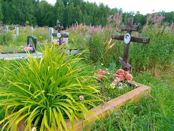 Ушенин Сергей Николаевич