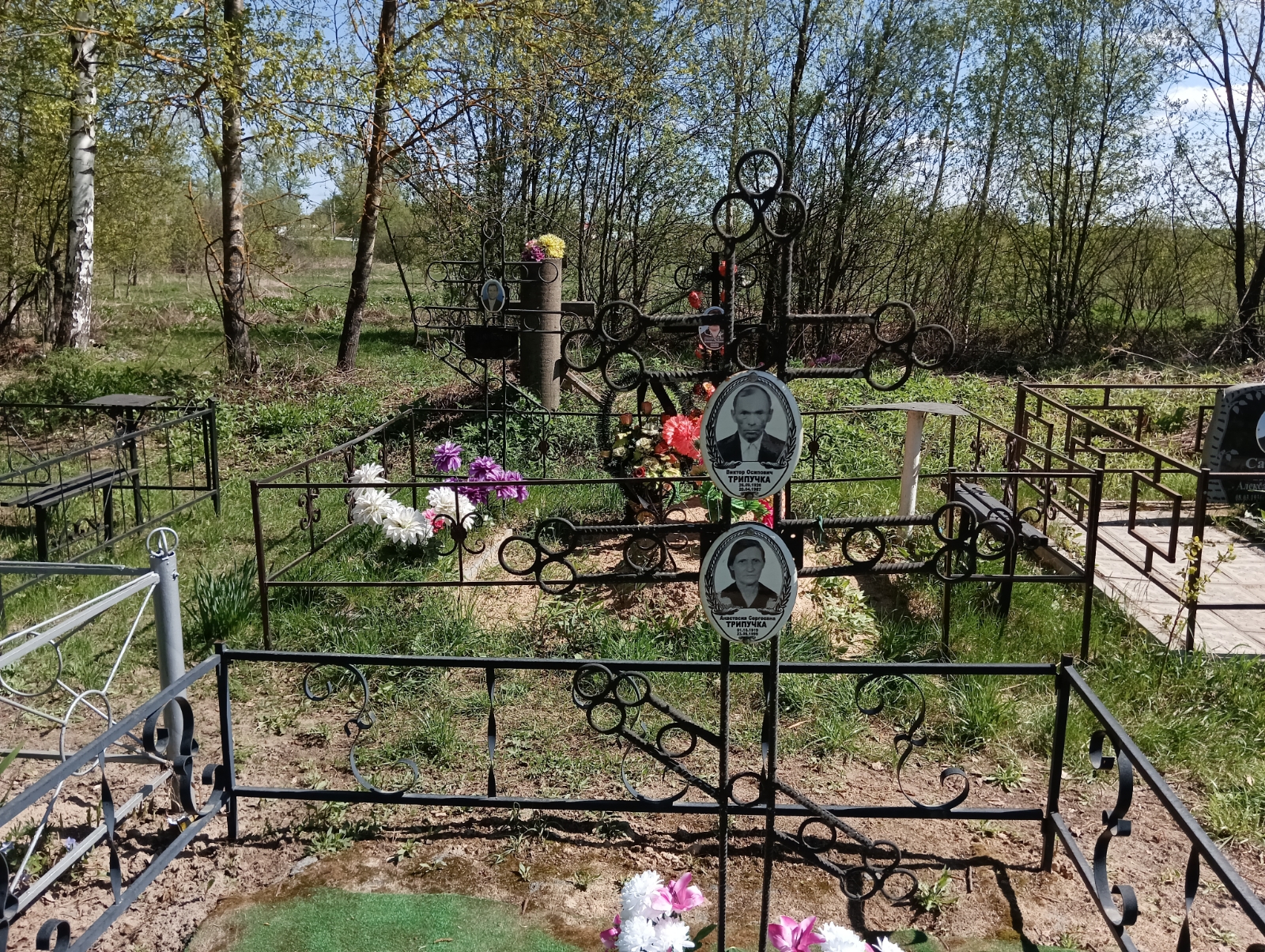 Трипучка Анастасия Сергеевна