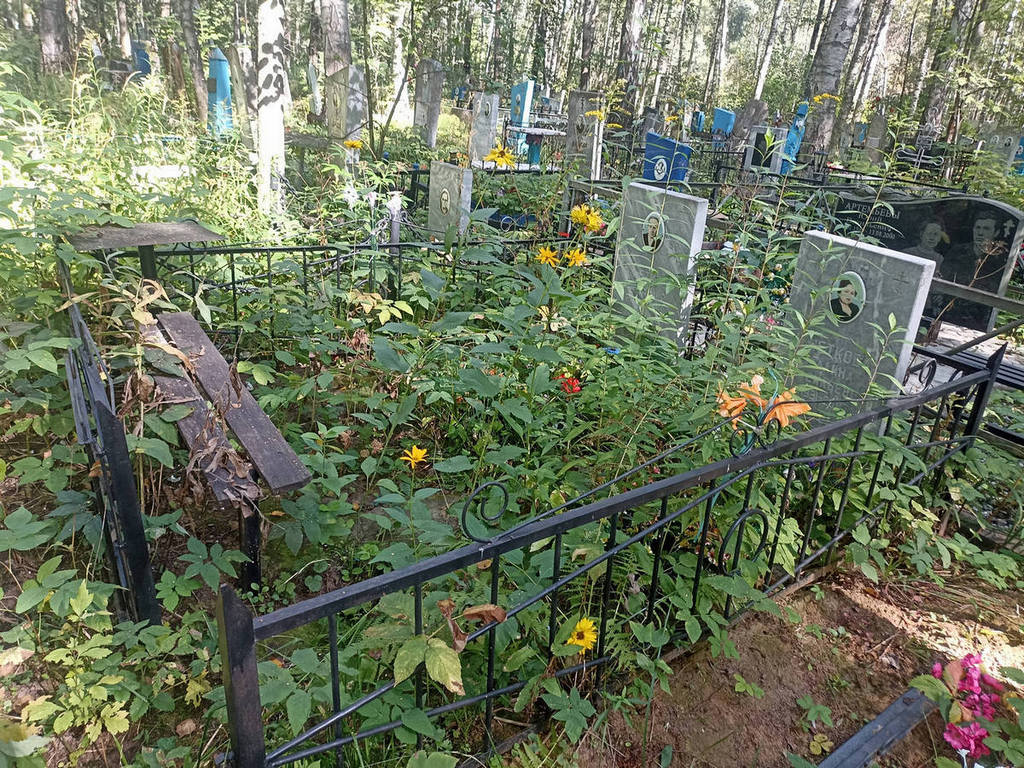 Снеткова Галина Васильевна
