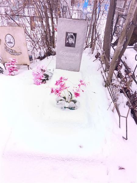 Воронов Александр Александрович