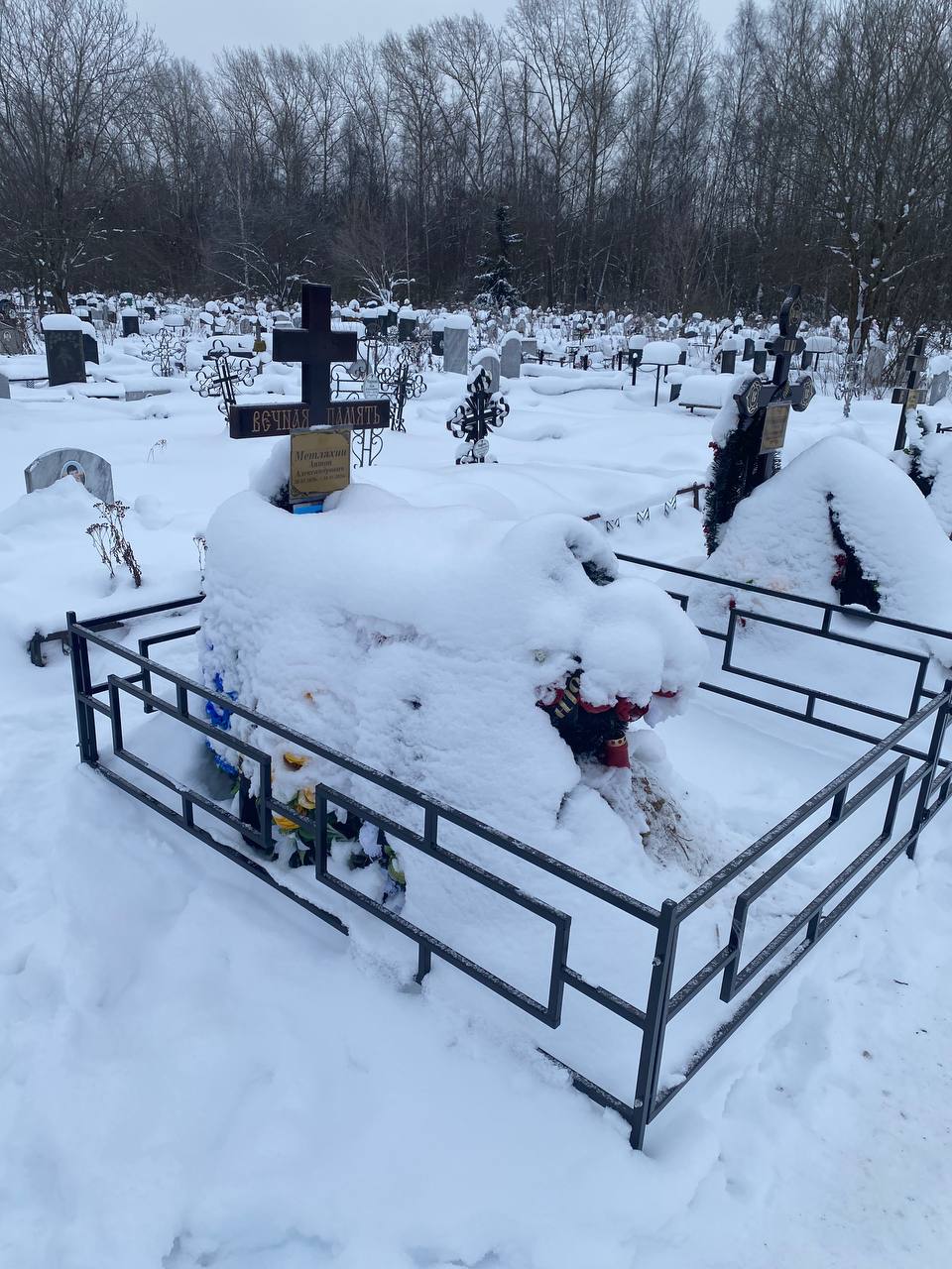 Метляхин