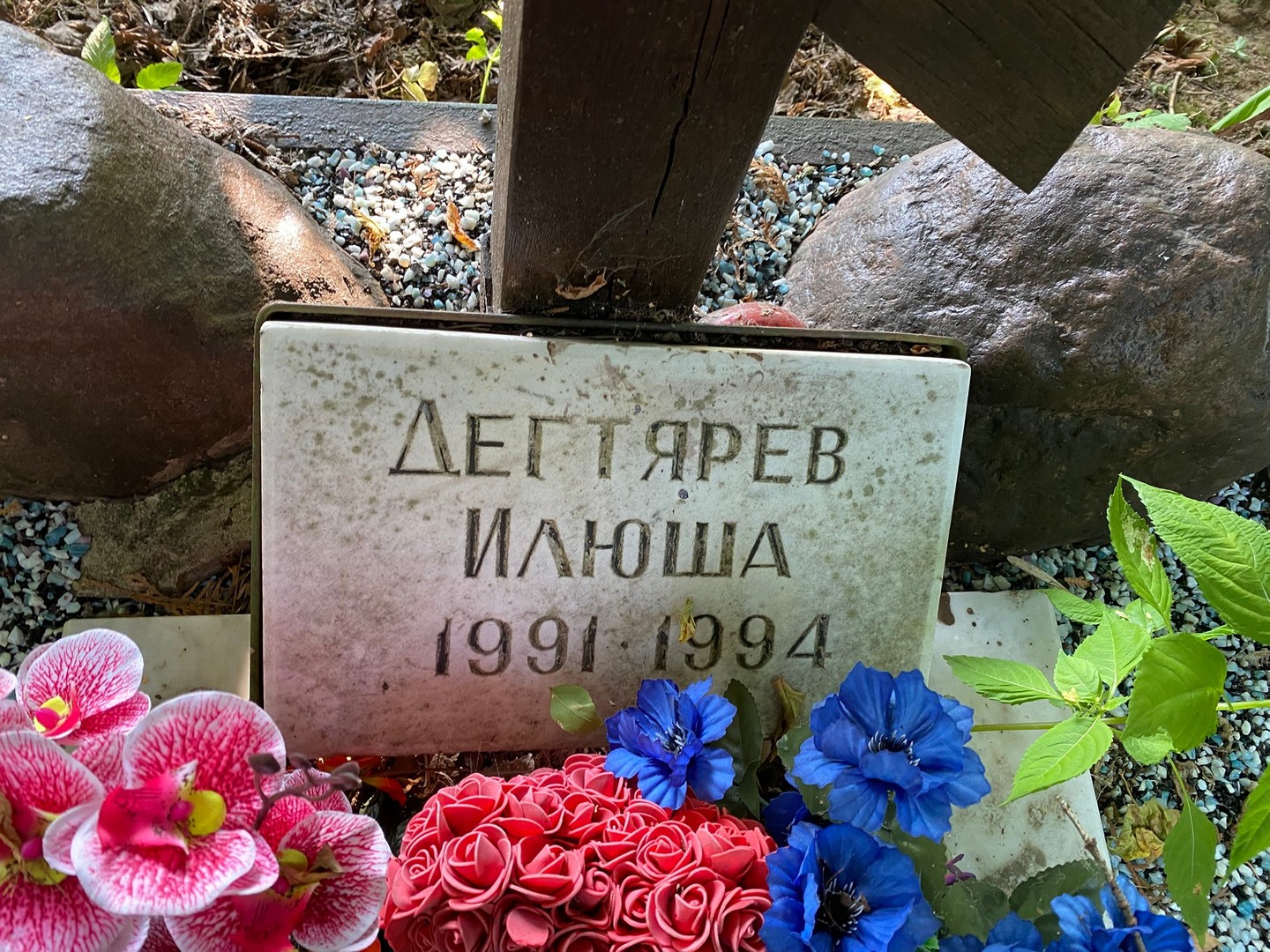 Дегтярев Дегтярев