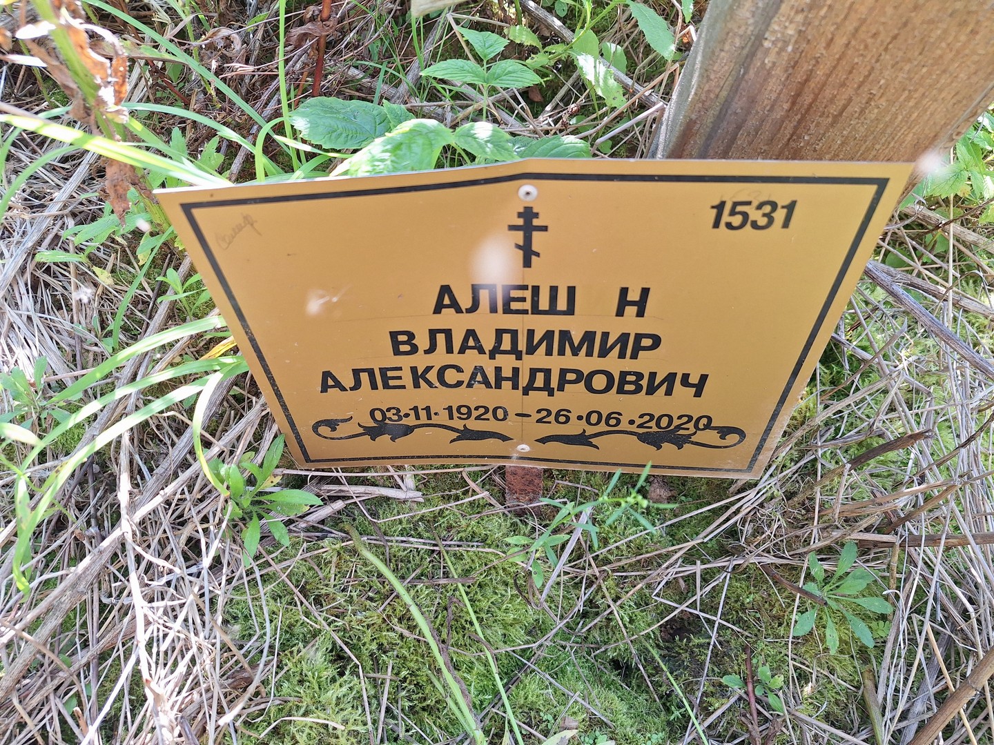 Алешин