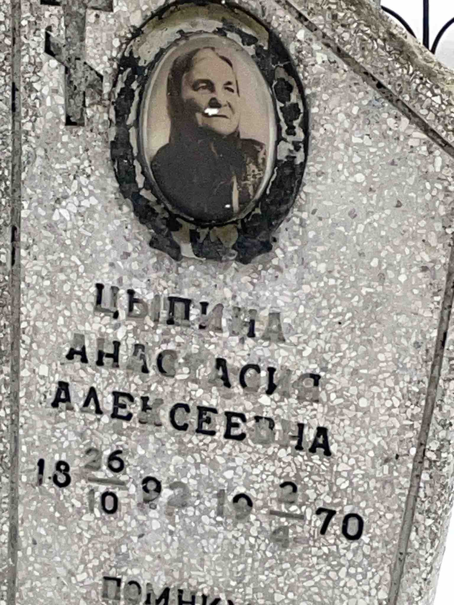 Цыпина Анастасия Алексеевна