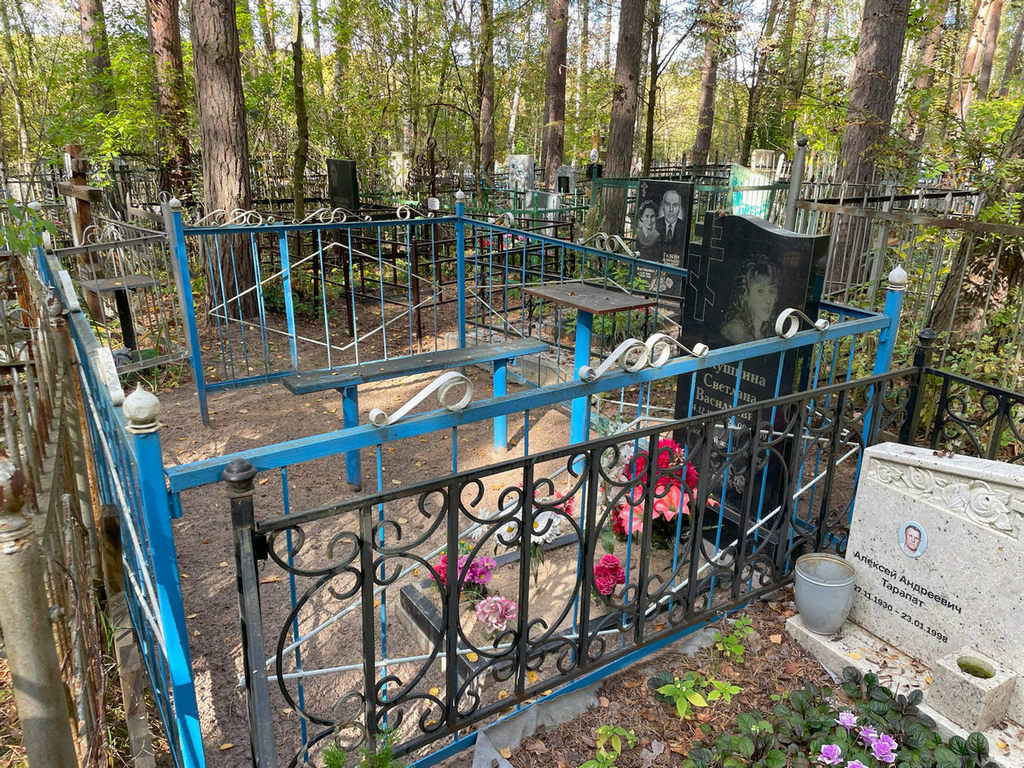 Слушкина Светлана Васильевна