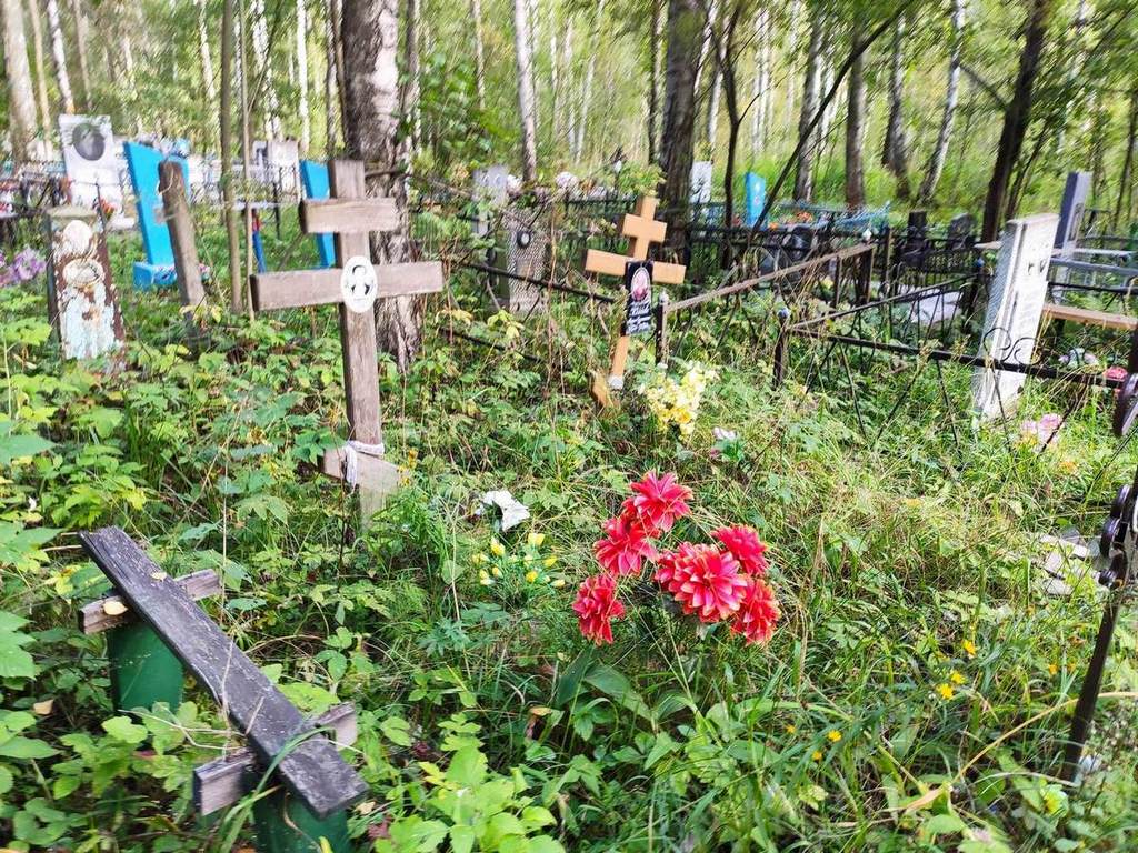 Пуряев Дмитрий Алексеевич