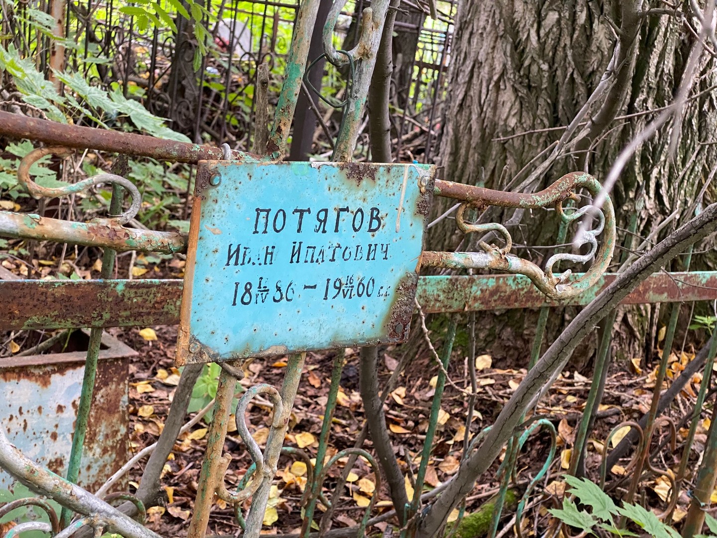 Потягов