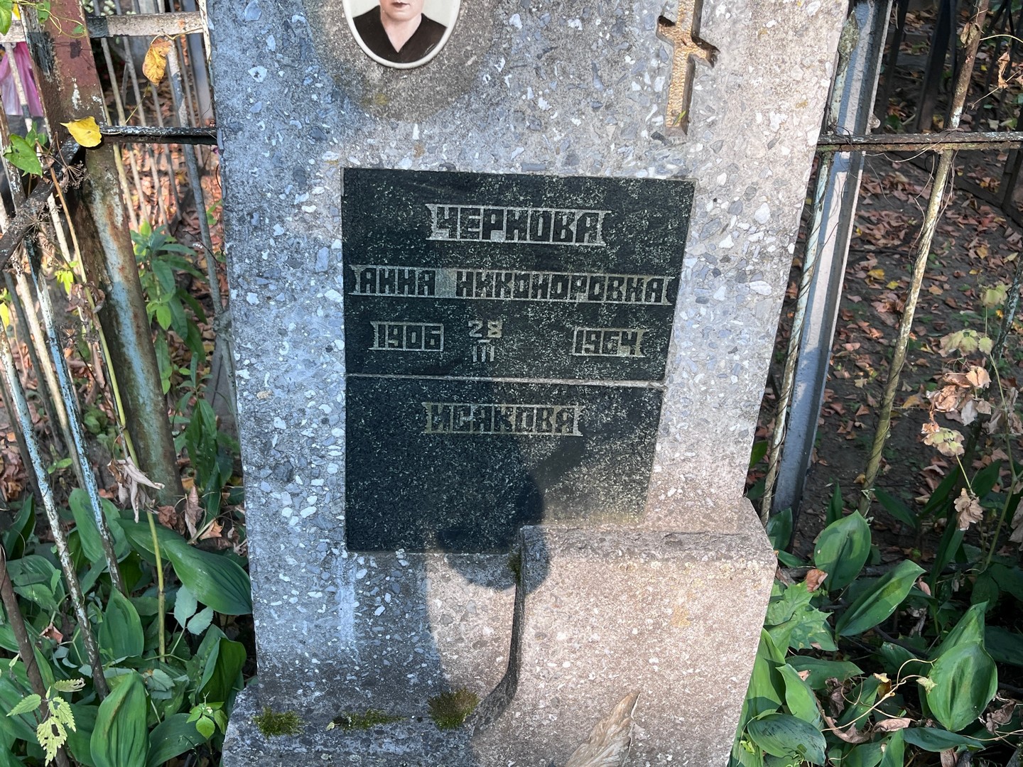 Чернова