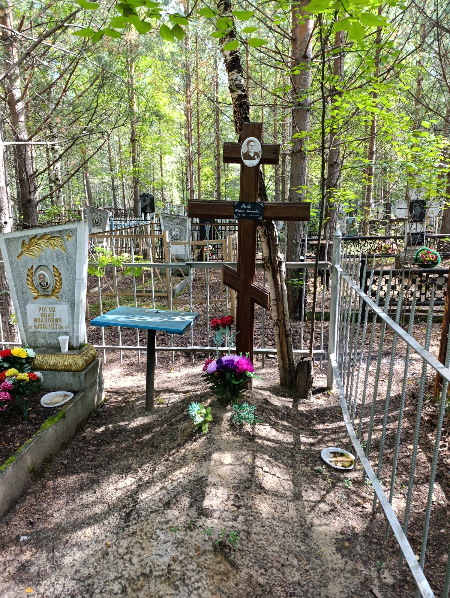 Рогова Таисия Иосифовна