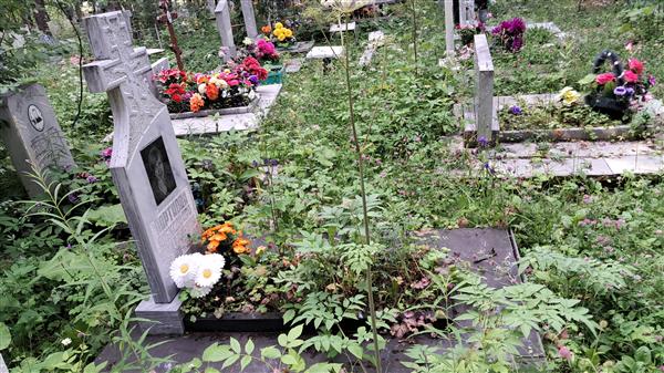 Портнова Александра Дмитриевна