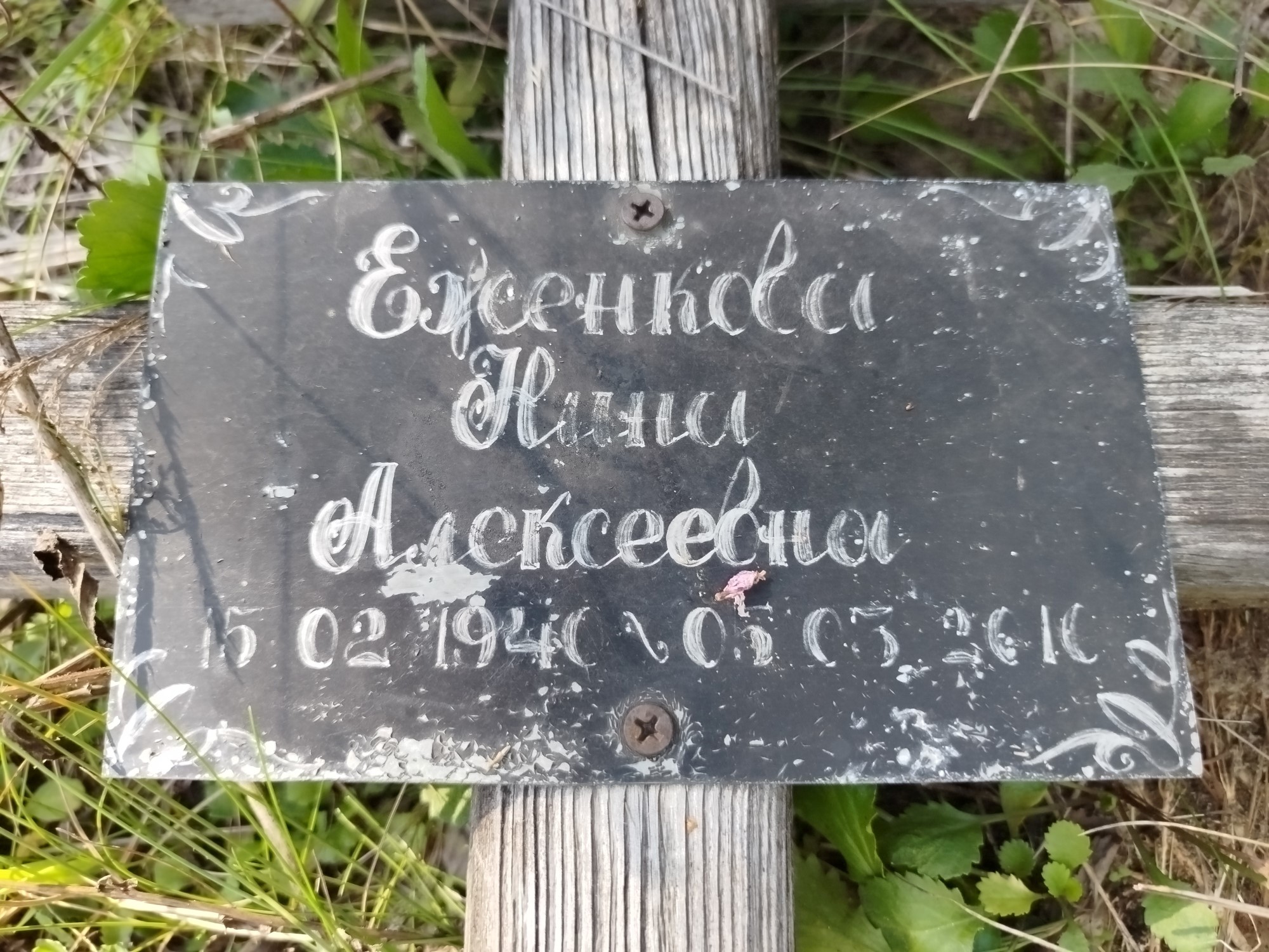 Еженкова Нина Алексеевна