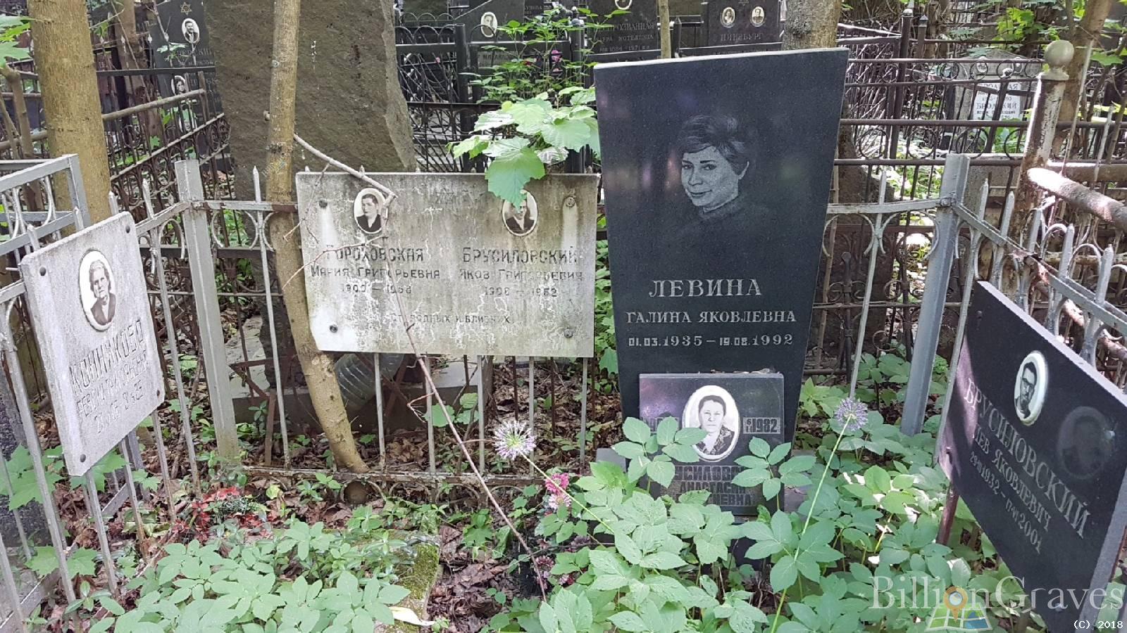 Брусиловская Анастасия Георгиевна