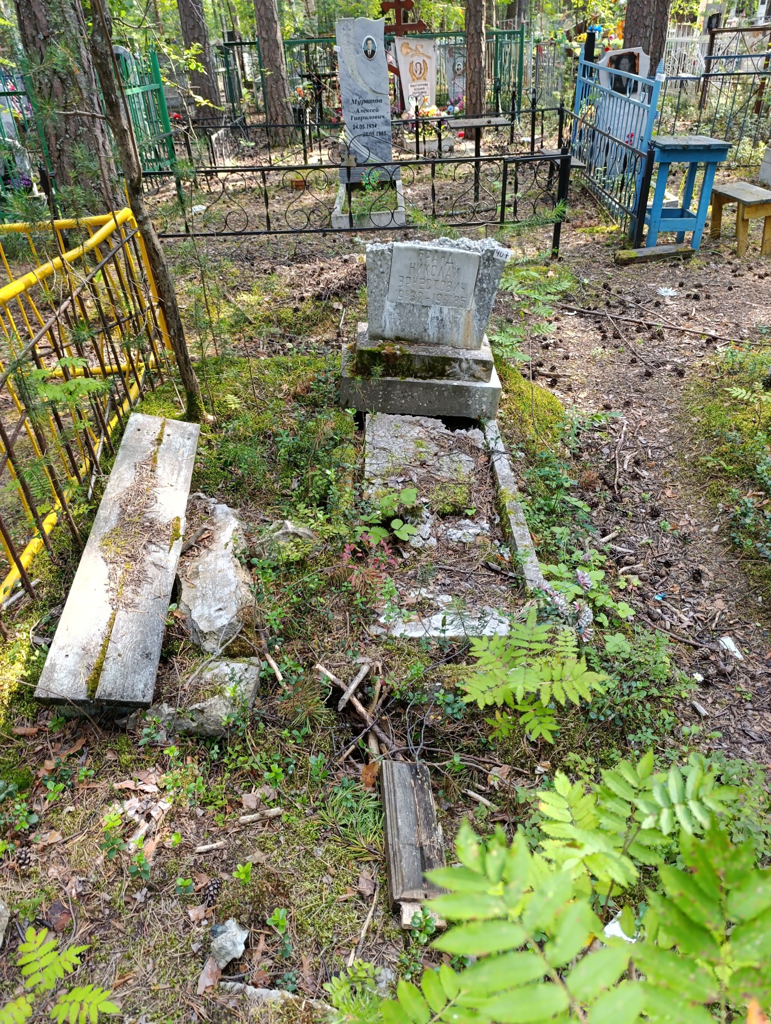 Бранд Николай Эрнестович