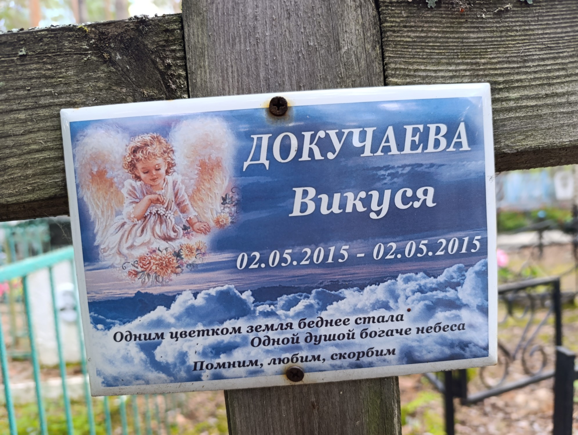 Докучаева Виктория
