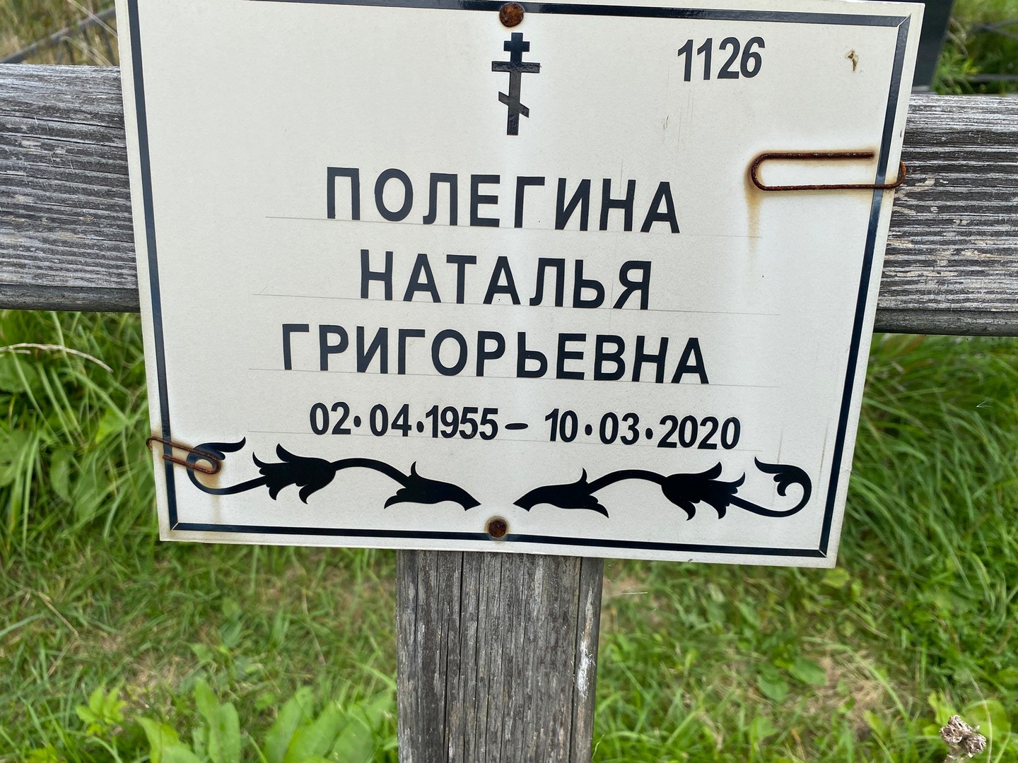 Полегина