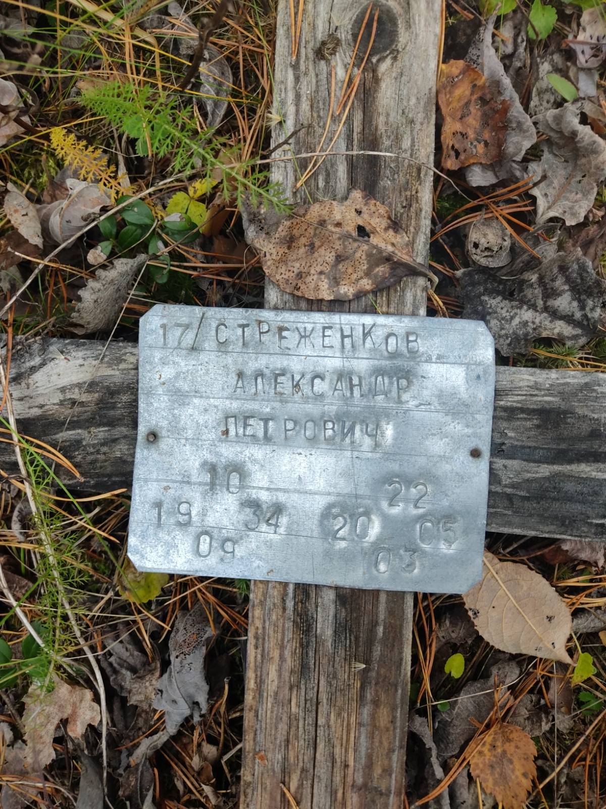 Стреженков Александр Петрович