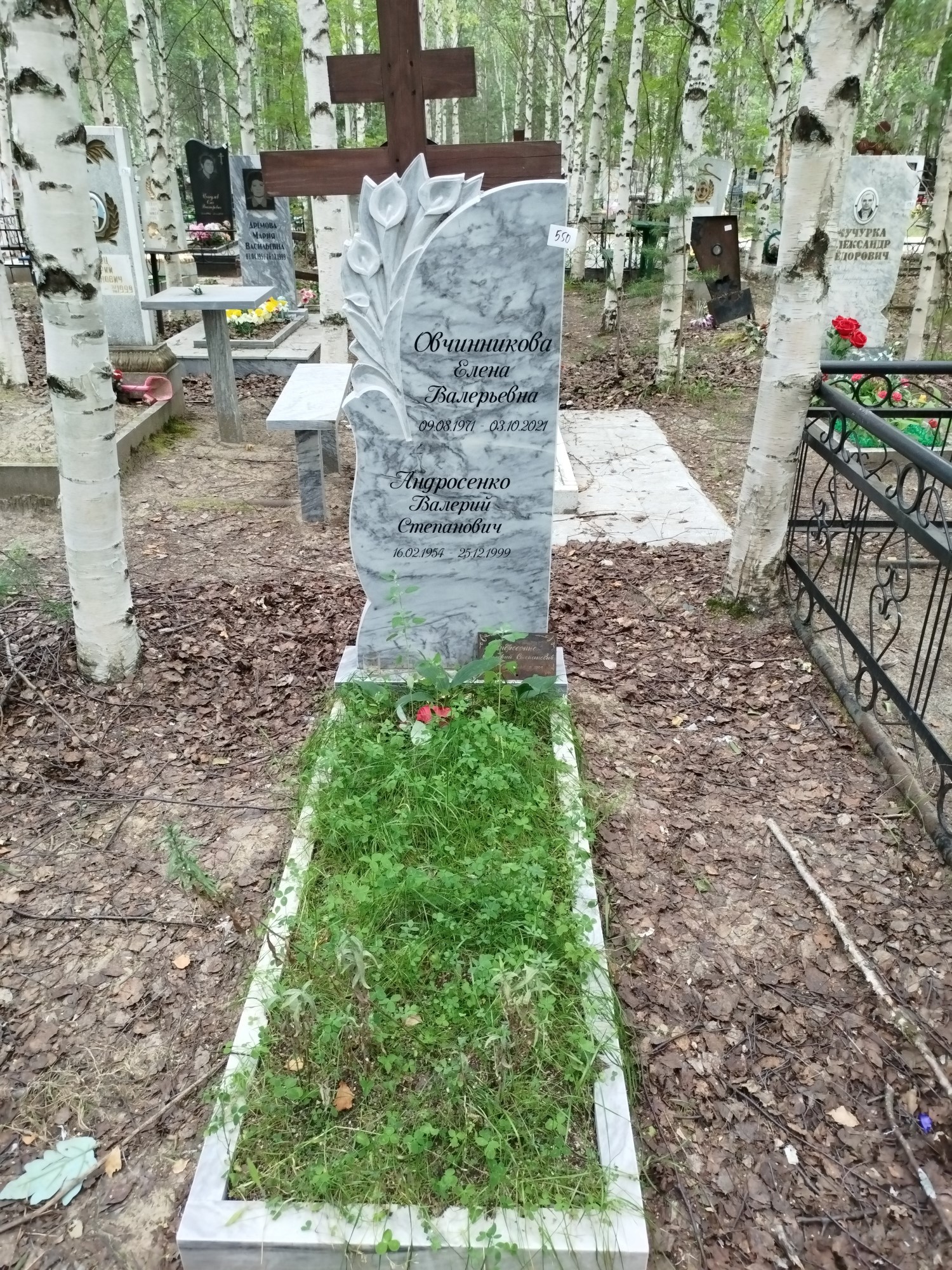 Овчинникова Елена Валерьевна