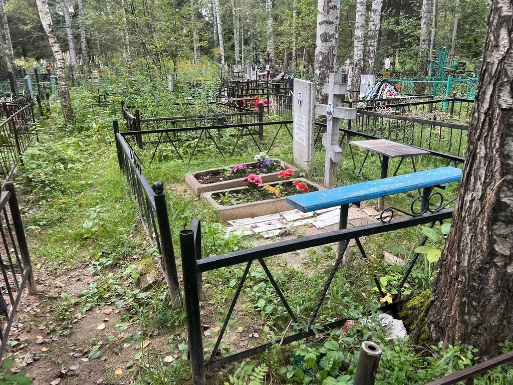 Горохов Алексей Владимирович