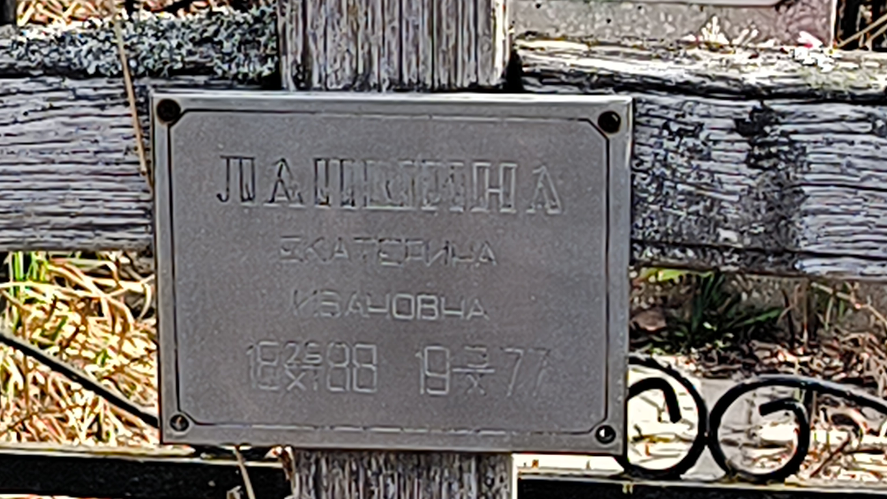 Лапшина Екатерина Ивановна