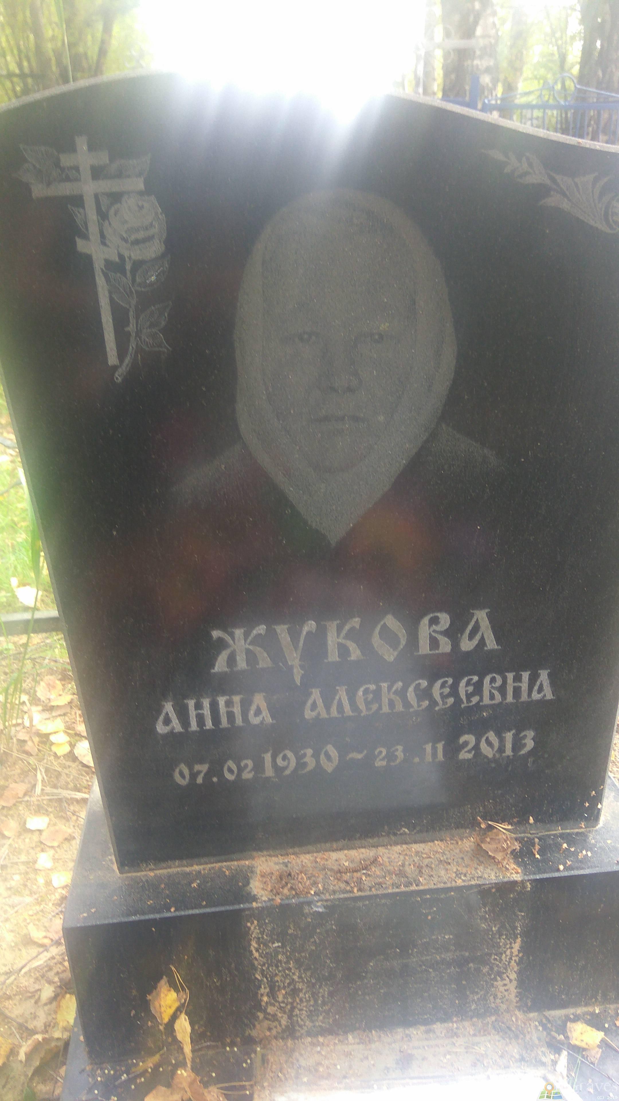 Жукова Анна Алексеевна