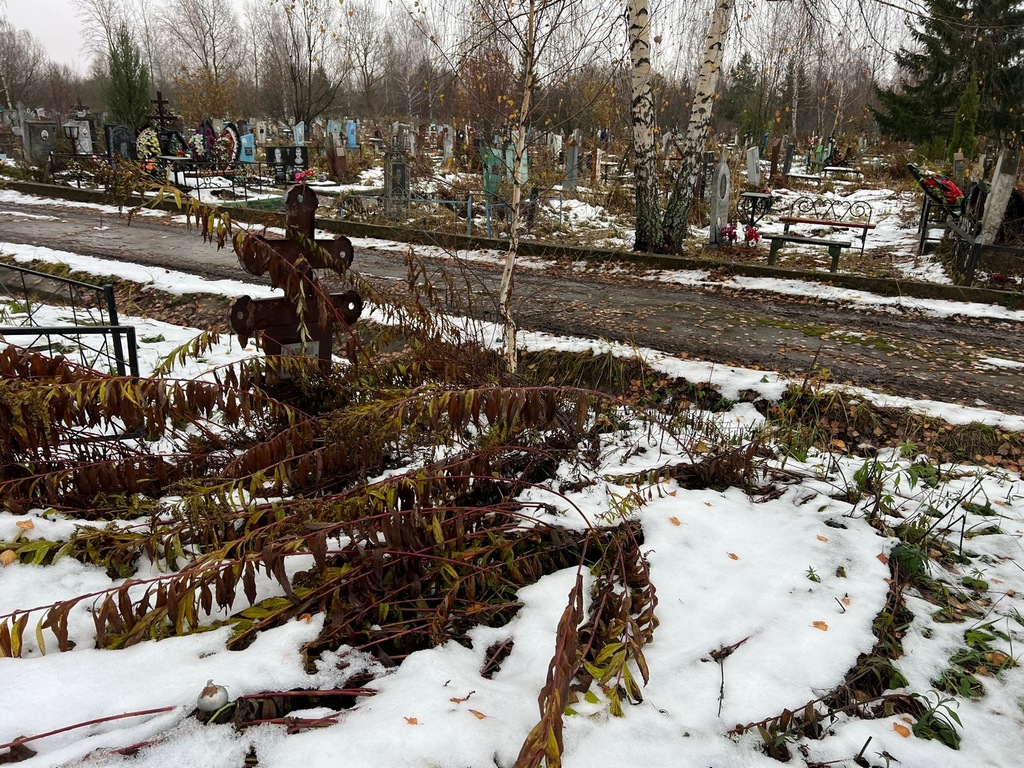 Колосова Пелагея Архиповна