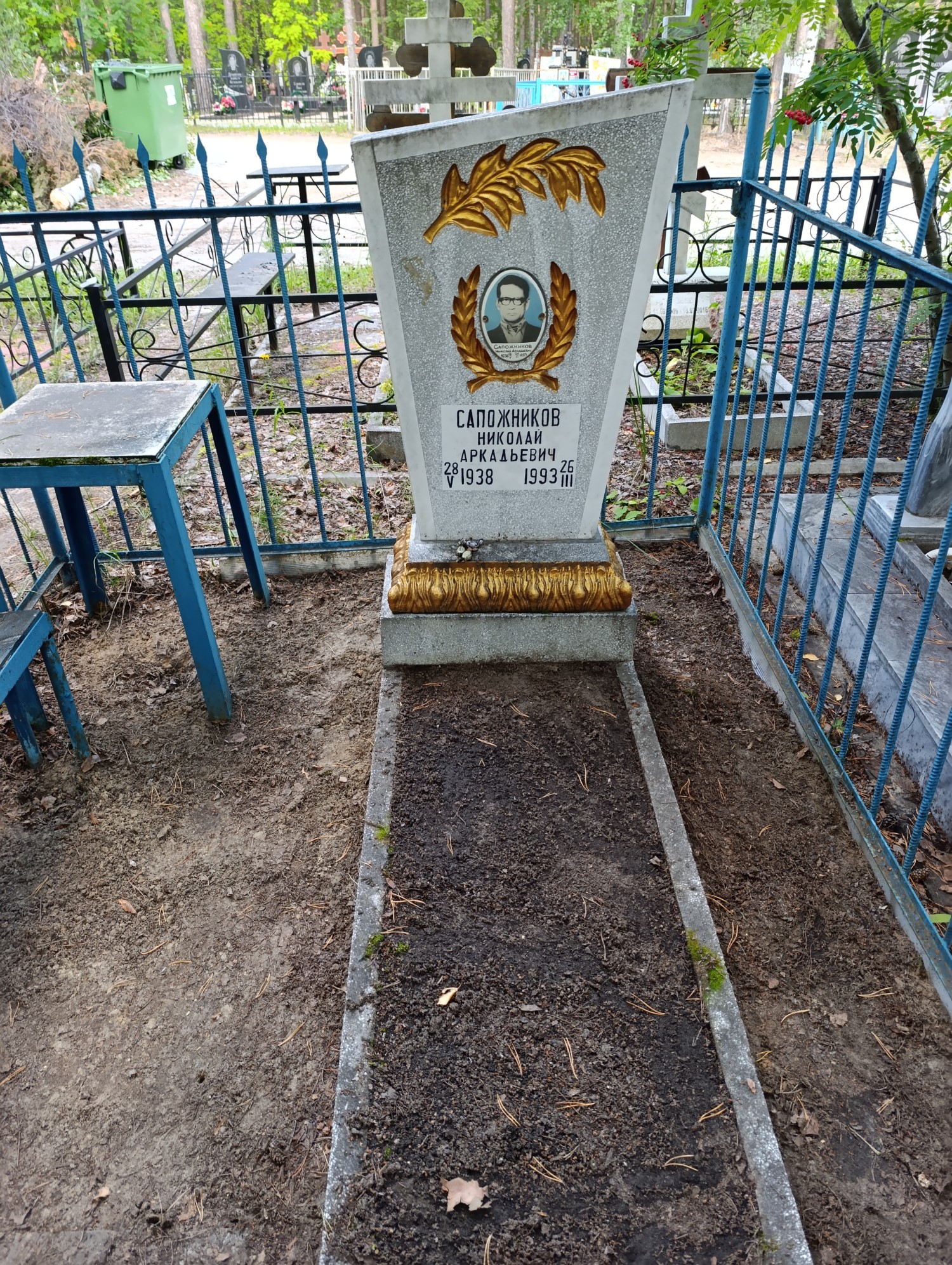 Сапожников Николай Аркадьевич