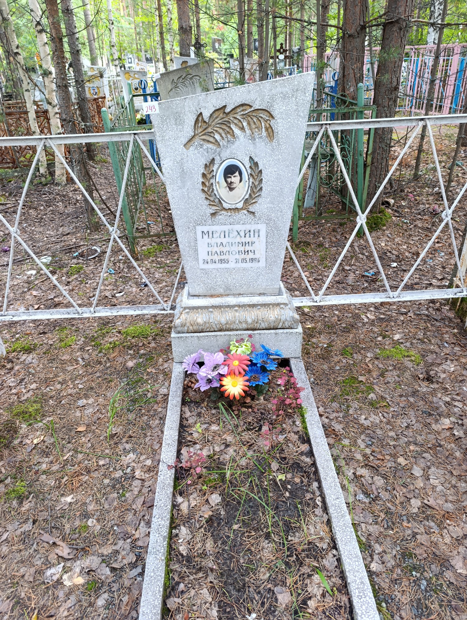Мелёхин Владимир Павлович