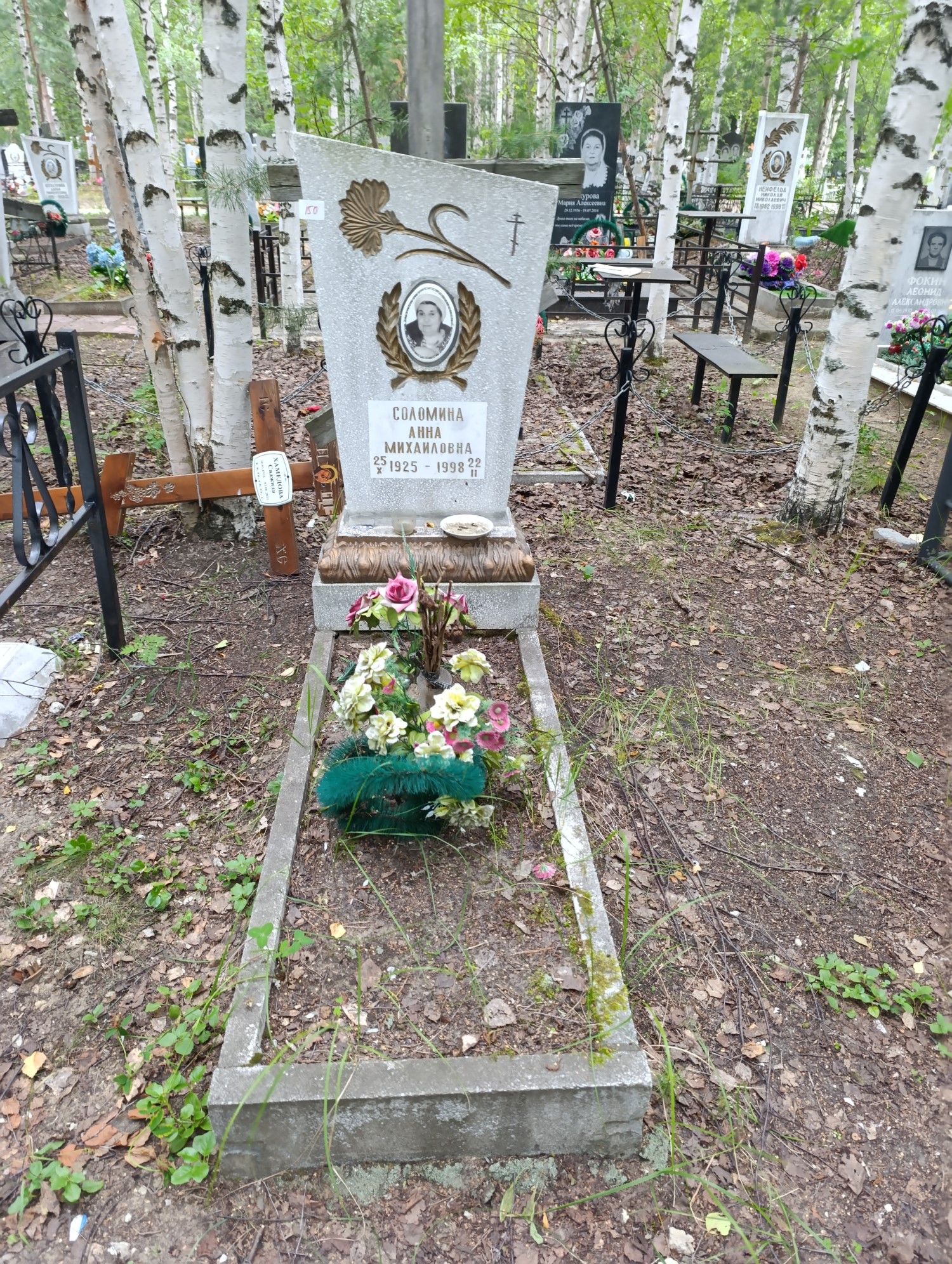 Соломина Анна Михайловна