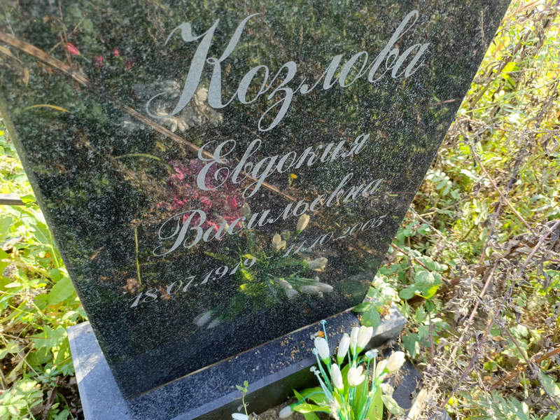 Козлова