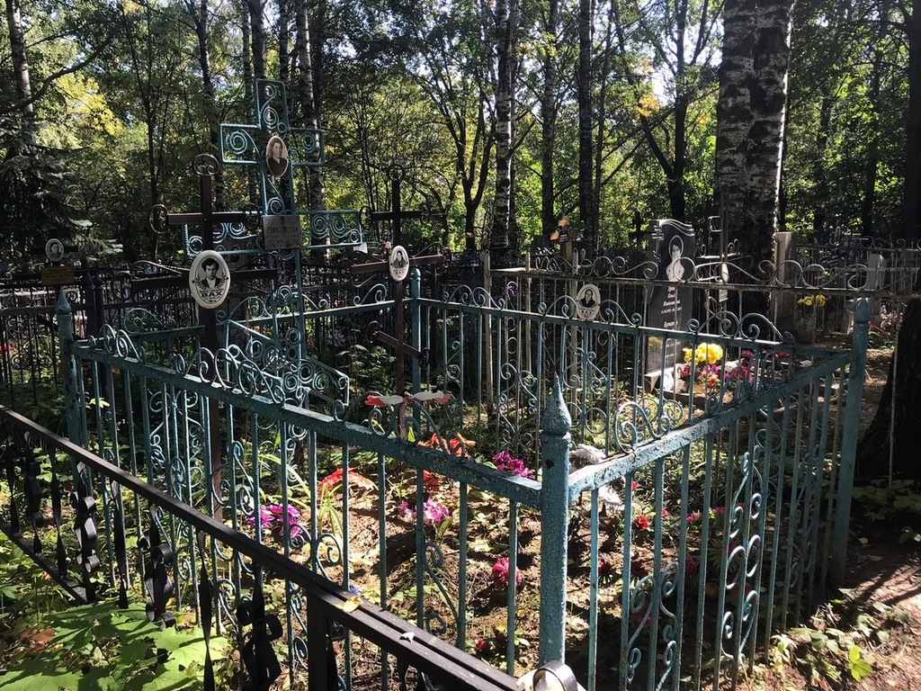 Вах Николай Станиславович
